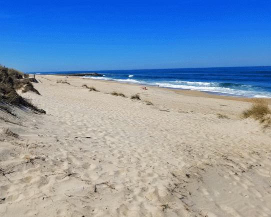 20190514_110351-edited