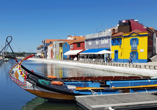 20190514_141750-edited