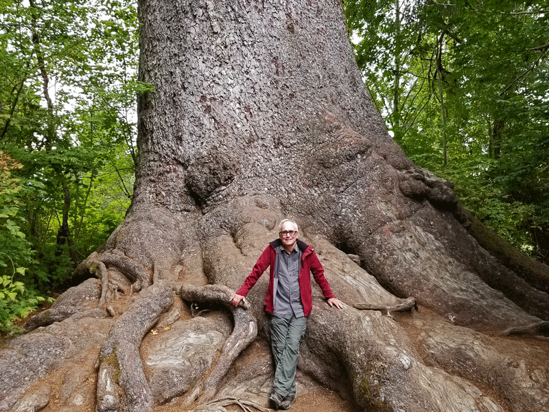 Washington: Lush Rainforests and Forbidden&nbsp;Deserts