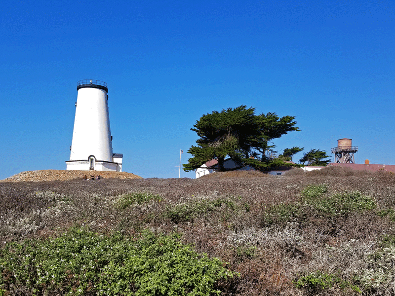 Lighthouses, Coastal Dunes, and Monarch&nbsp;Butterflies