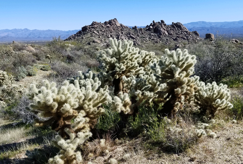 McDowell Sonoran Preserve