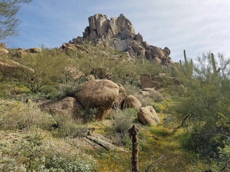 Pinnacle Peak Park