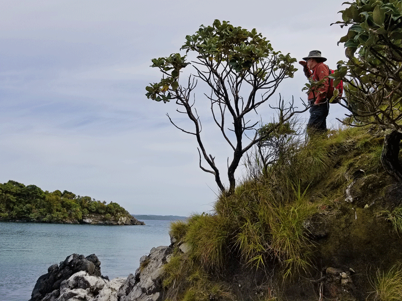 Southland: Rare Birds and a Slice of&nbsp;Kiwiana
