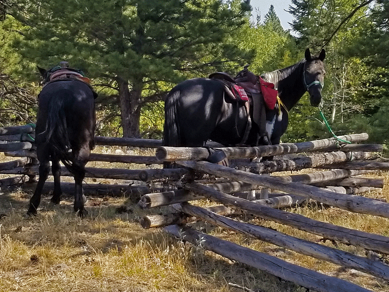 We came across a couple of horseback riders taking a lunch break