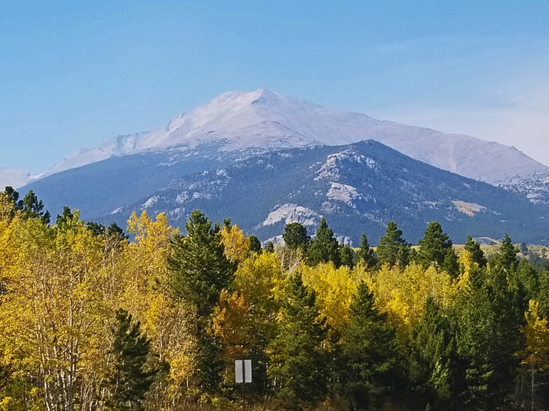 Searching for Gold in&nbsp;Colorado