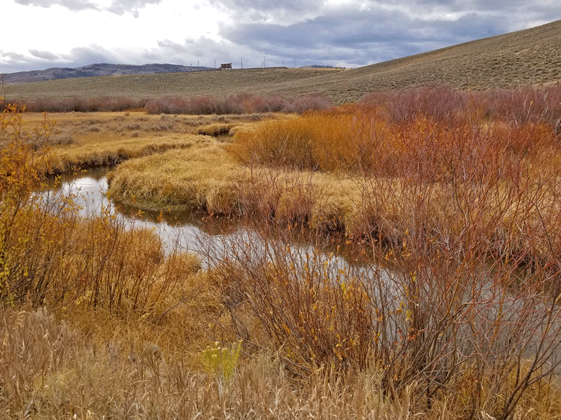 . . . along Tenmile Creek