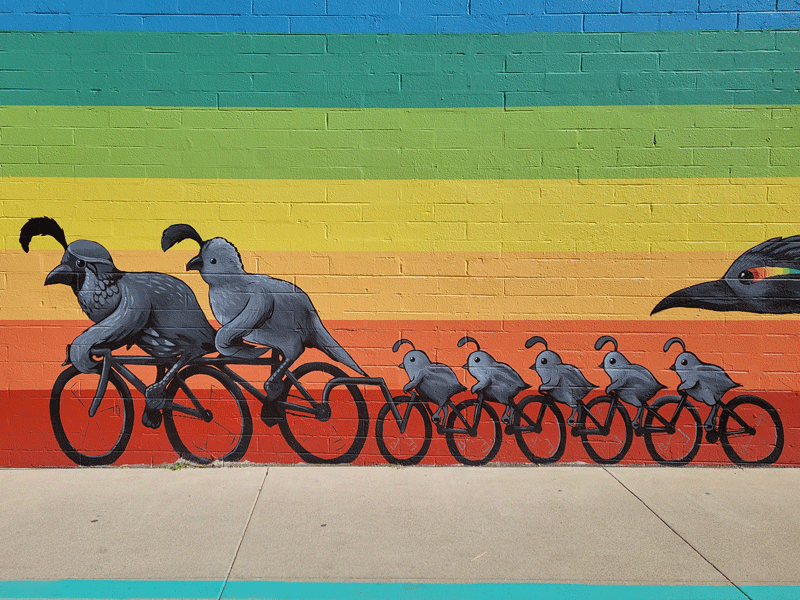 Flying Machines Plus Colorful Rocks and Murals in&nbsp;Tucson