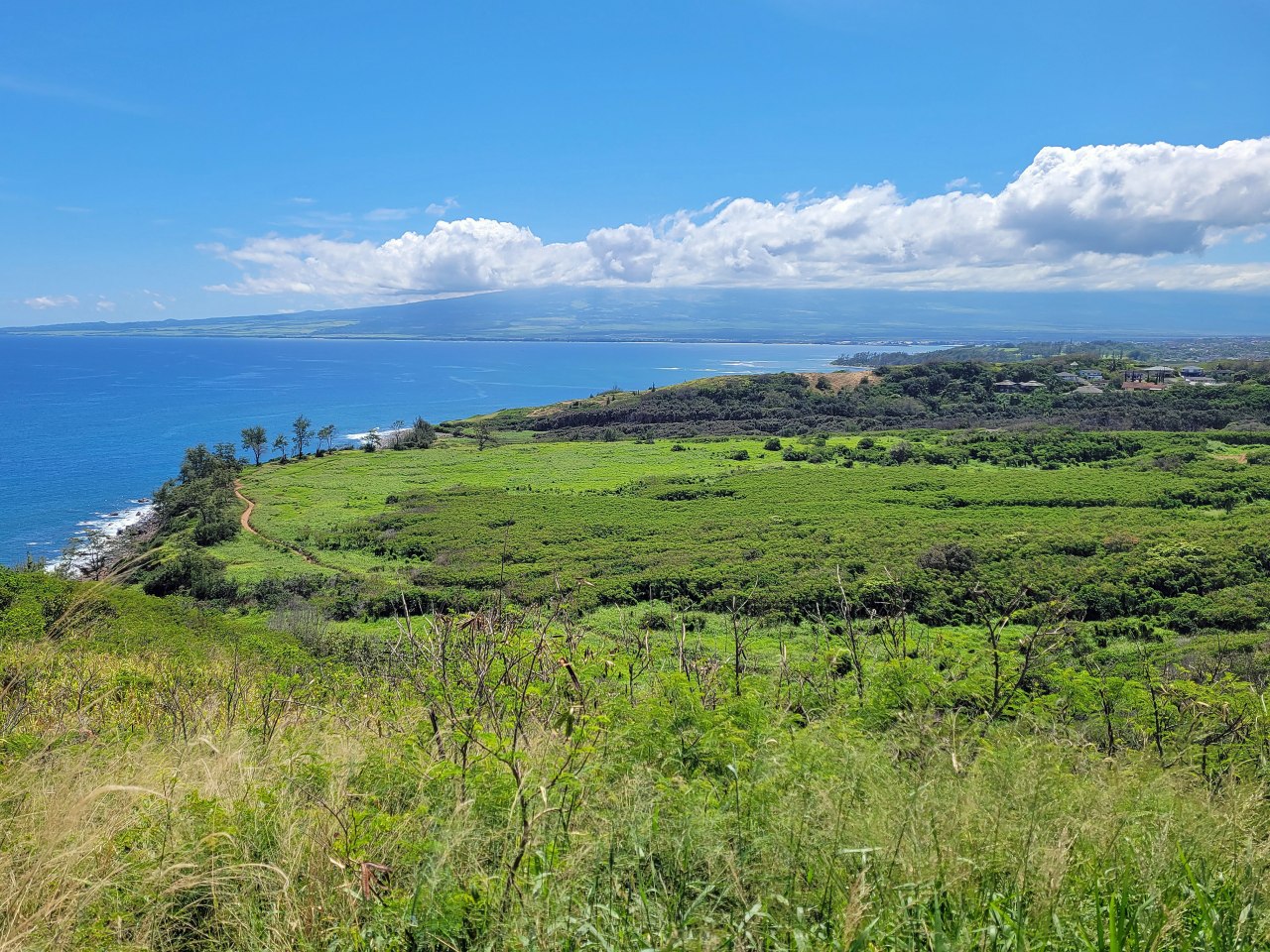 Sweet Memories of Maui from March&nbsp;2023