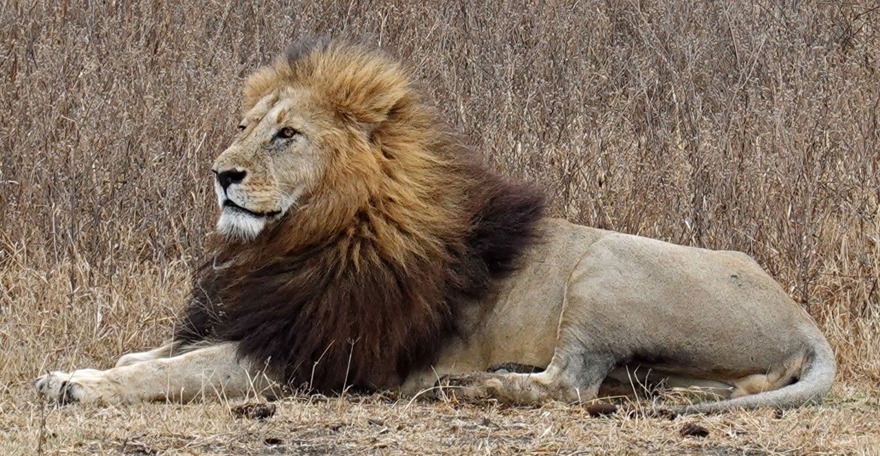 Perched at the Edge of Ngorongoro&nbsp;Crater