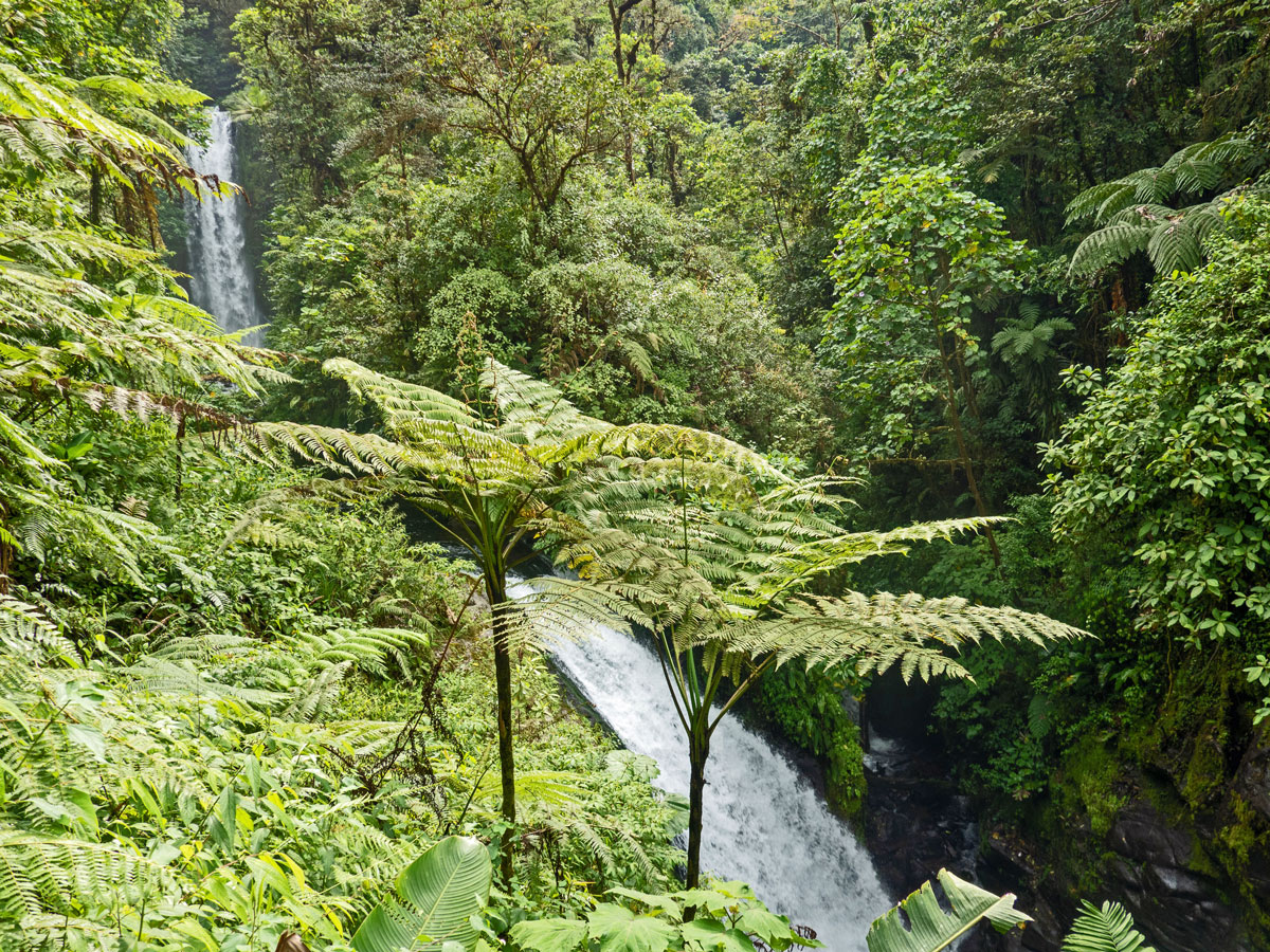 La Paz Nature Park & Wildlife Refuge – A Costa Rican&nbsp;Treasure