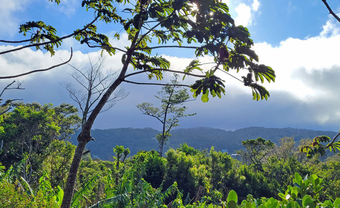 There’s Something Special about&nbsp;Monteverde